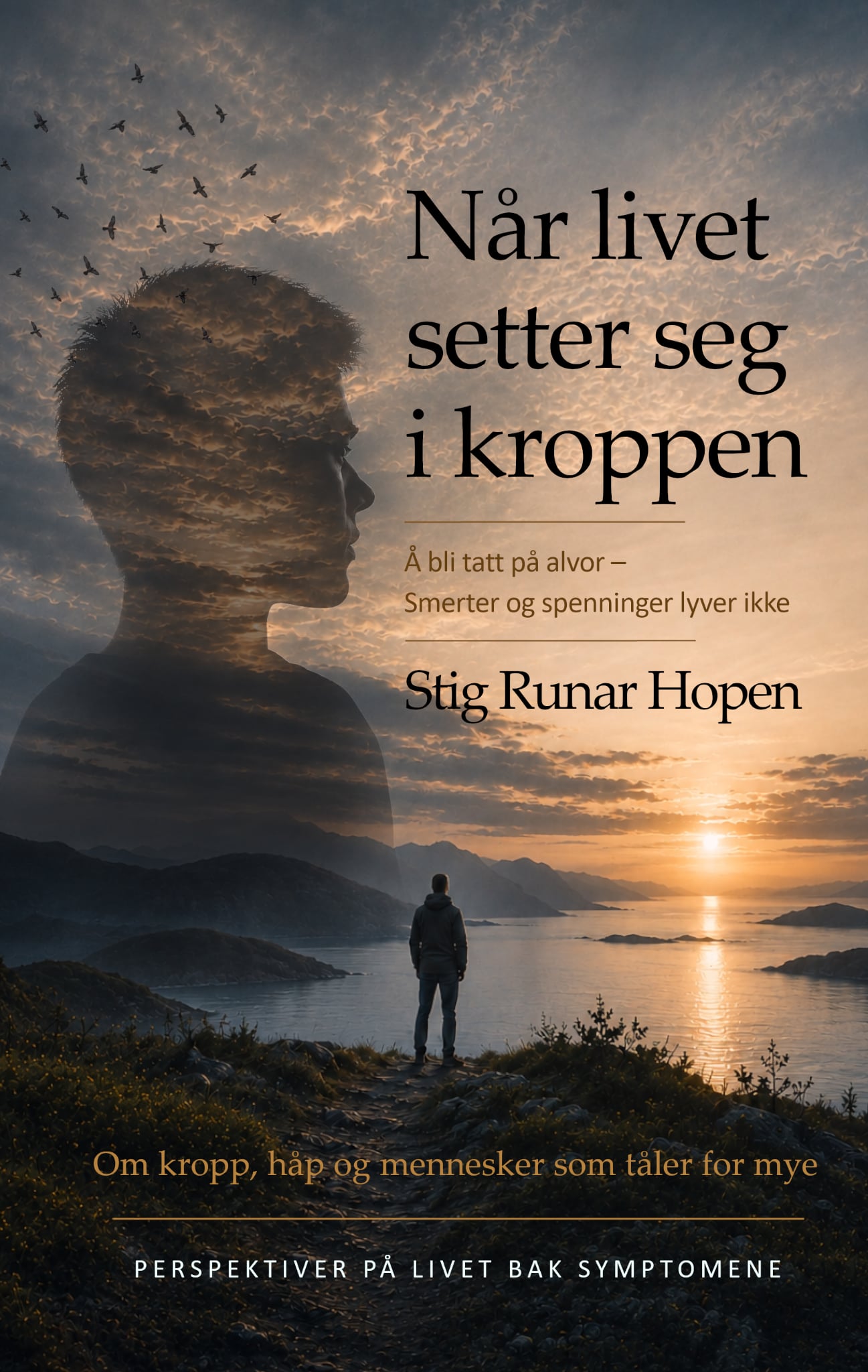 Omslaget til Når livet setter seg i kroppen av Stig Runar Hopen